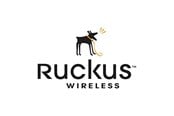 Palvelu ja tuki - Ruckus Wireless Ruckus-kumppani WatchDog Premium -tuki - S22-VSZD-5L00
